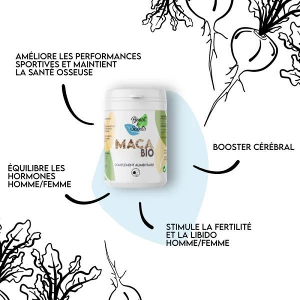 Maca Bio Bienfaits Maca Bio Bienfaits