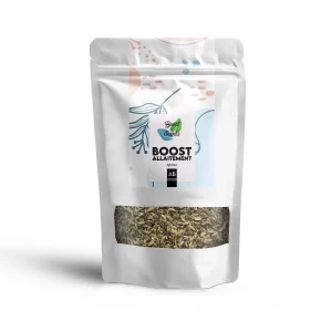 Infusion Boost Allaitement Bio