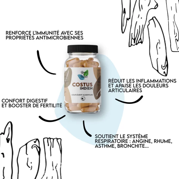 costus-indien-explication costus-indien-explication