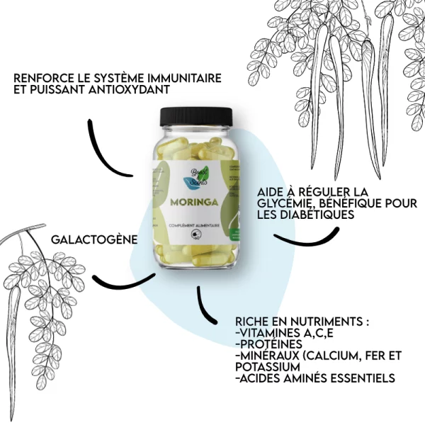 moringa-explication