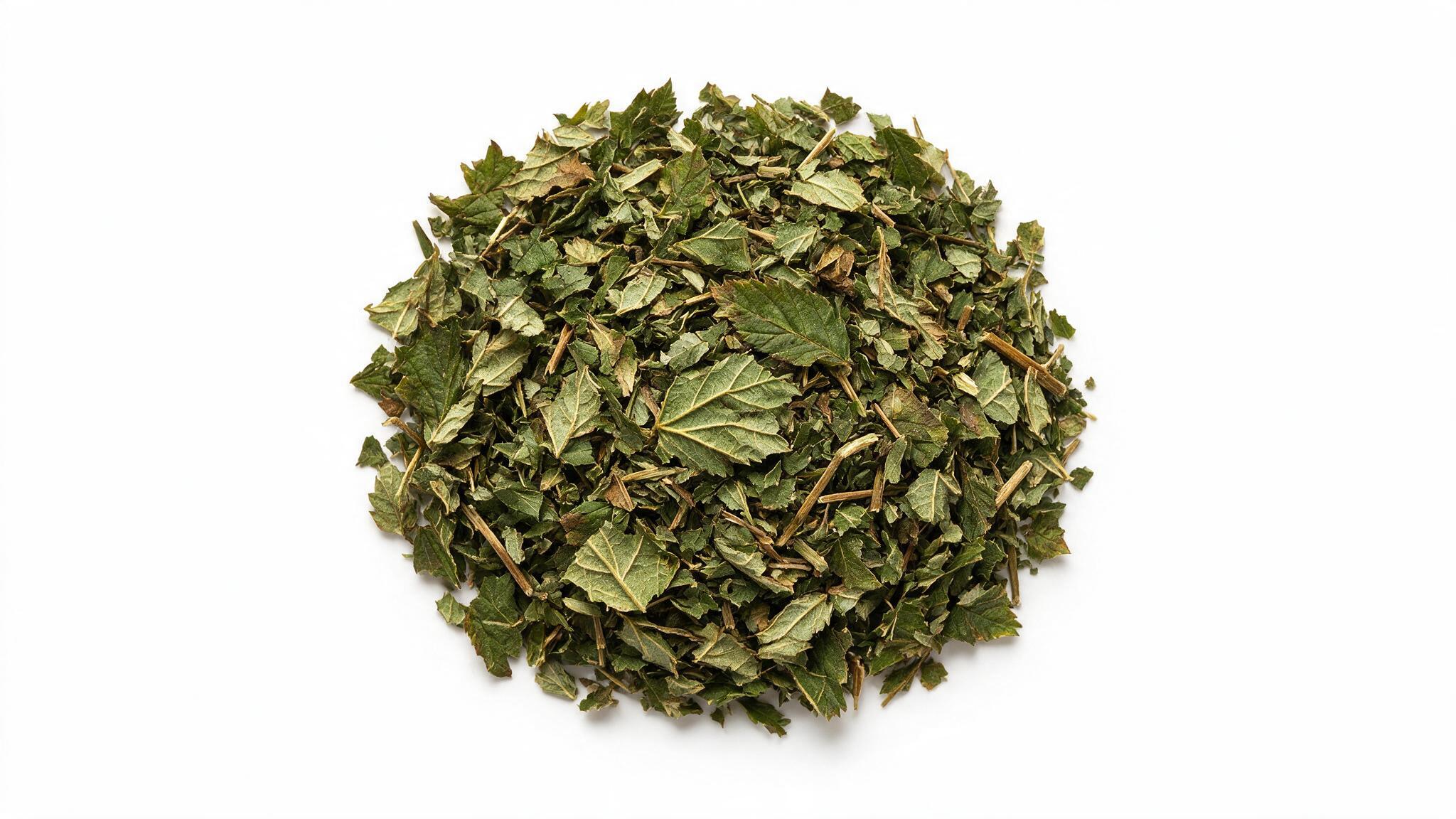 Feuille de Framboisier : Bienfaits, Tisane et Utilisation en Grossesse 2 feuille de framboisier feuille de framboisier